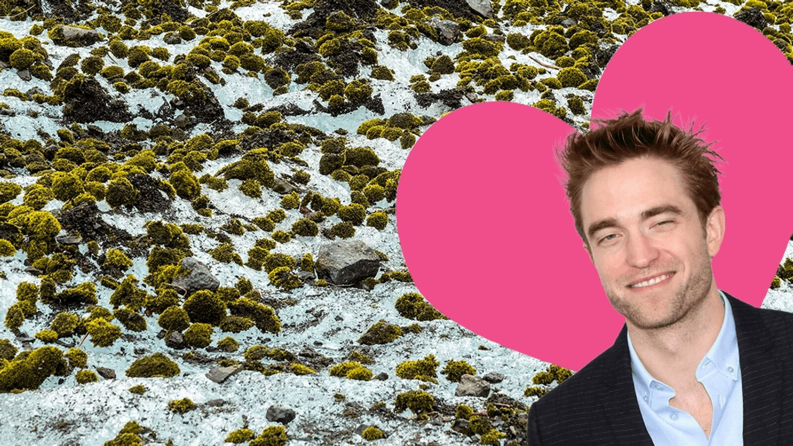Robert Pattinson