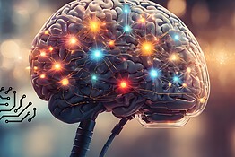 Pelle e cervello sintetici per studiare l’effetto delle radiazioni
