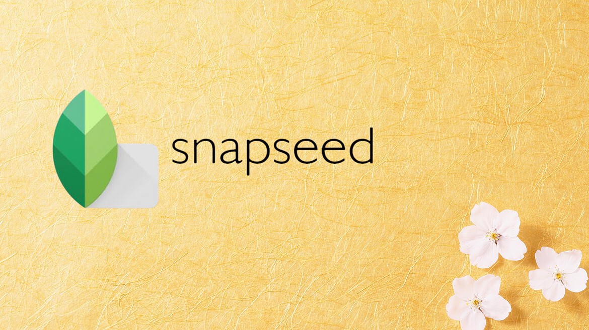 Snapseed: tre novità in arrivo con foto RAW e correzione colore
