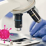 Cyclosporiasi USA: epidemia oltre 18.000 casi, fonte ignota