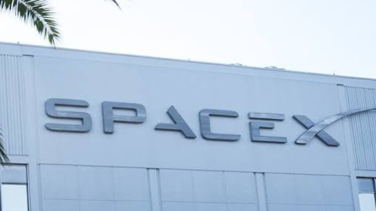 SpaceX guadagna più con l'AI che con lo spazio: i conti