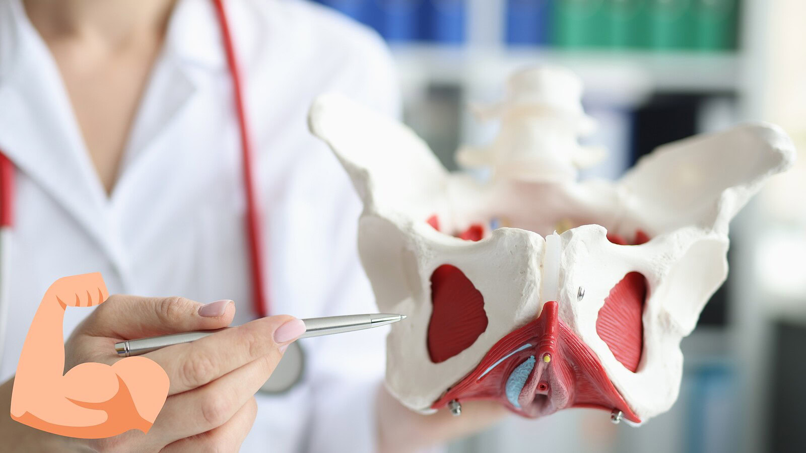 Muscolo artificiale che cambia forma e si ripara da solo