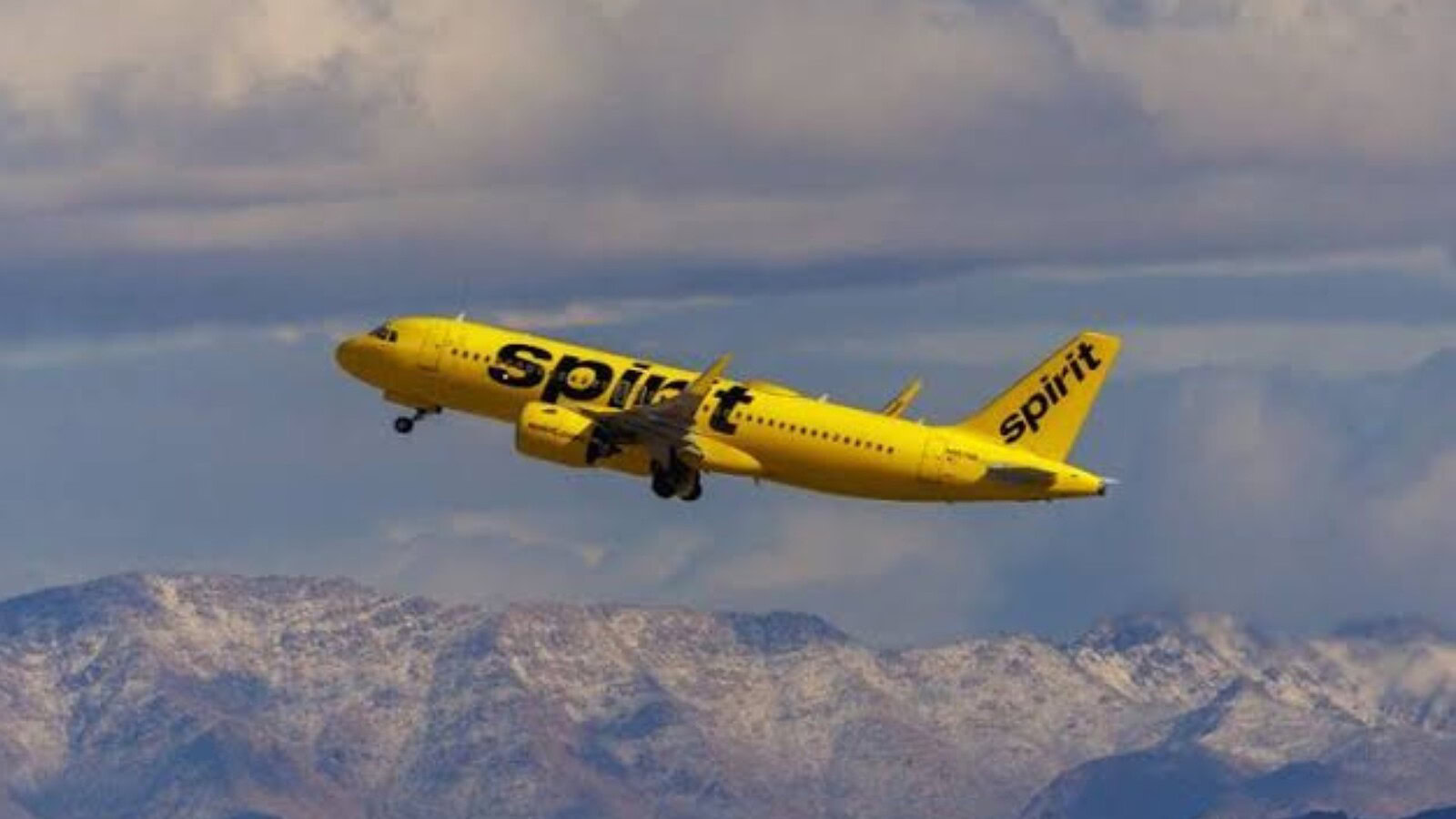 Google offre 9 milioni per le email interne di Spirit Airlines