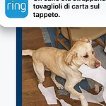 Ring, la crittografia TAKE cambia le regole sui video