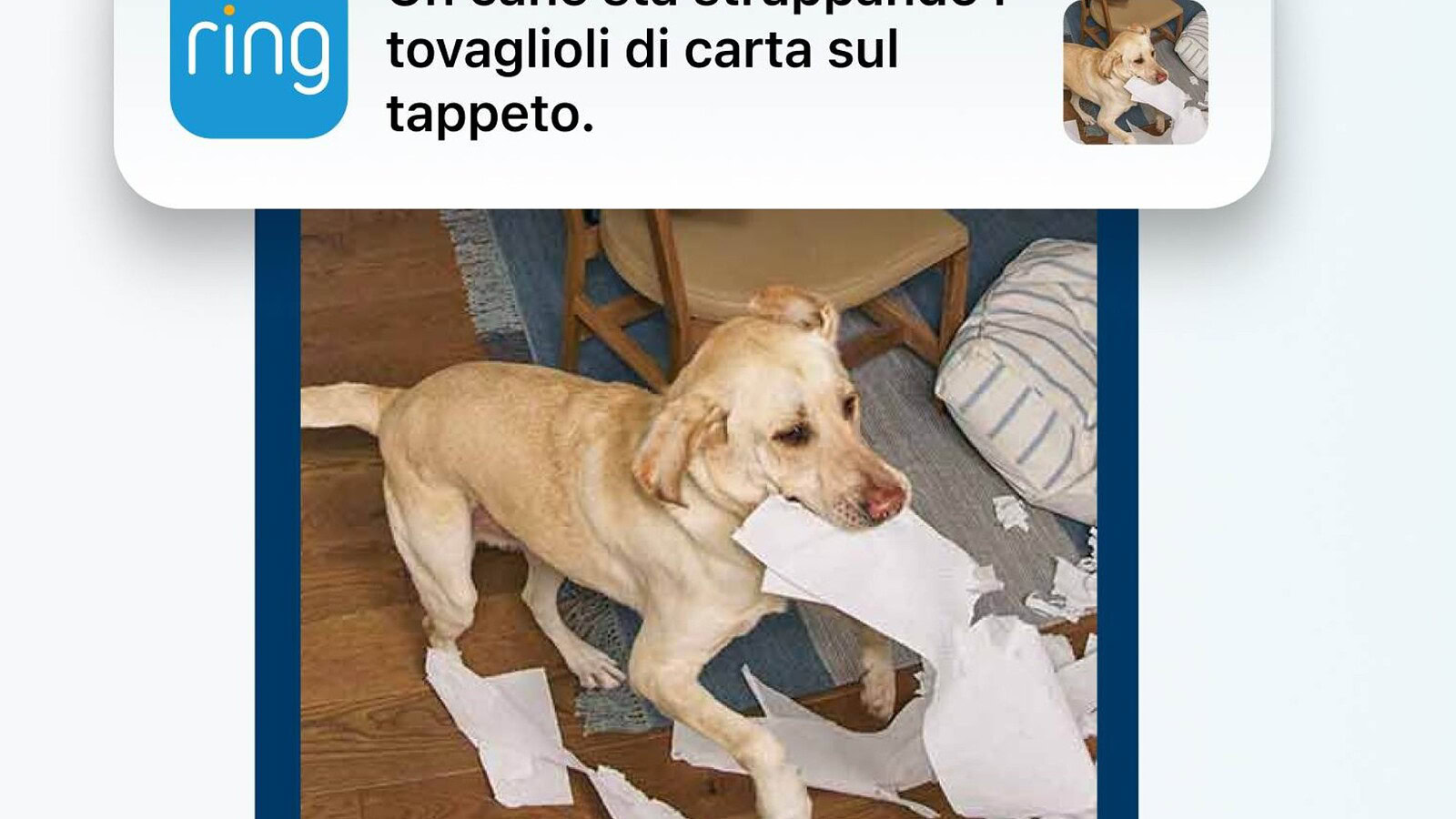 Ring, la crittografia TAKE cambia le regole sui video