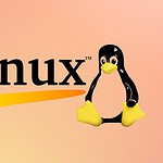 Linux, distribuire software è un incubo: il caso di Fresh