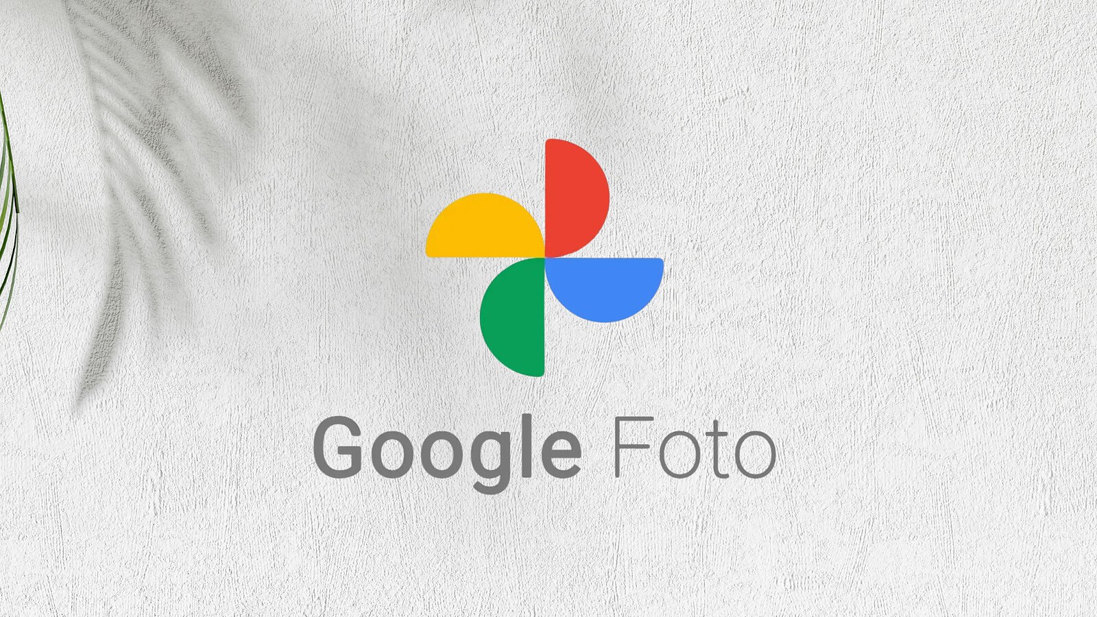 Google Foto, torna la selezione multipla con il trascinamento