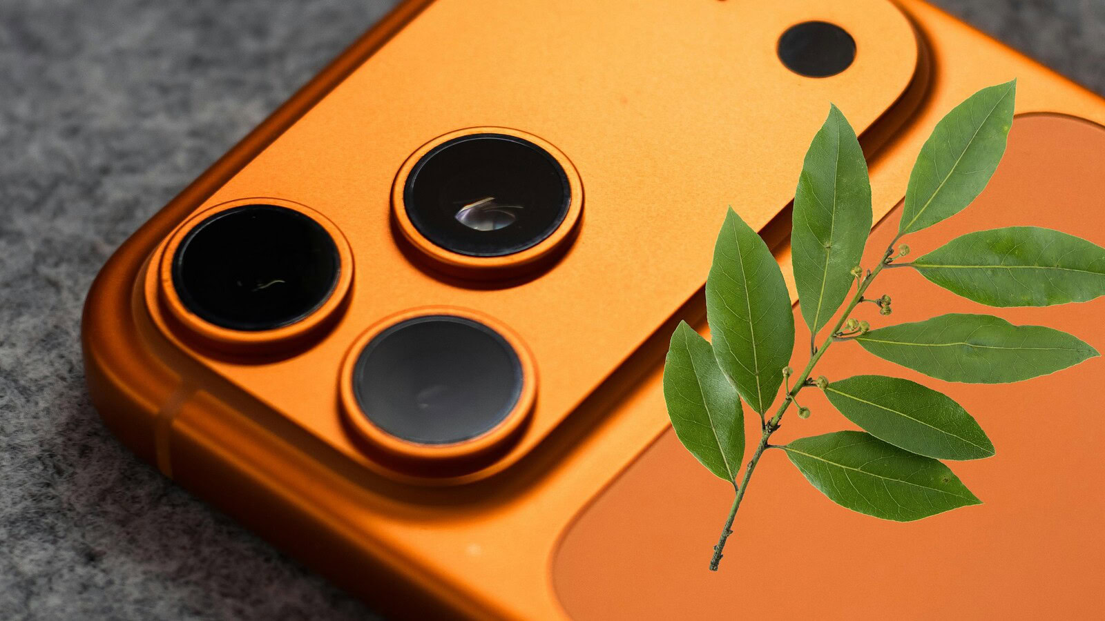 Foglia di alloro nella cover dello smartphone: cosa c'è dietro