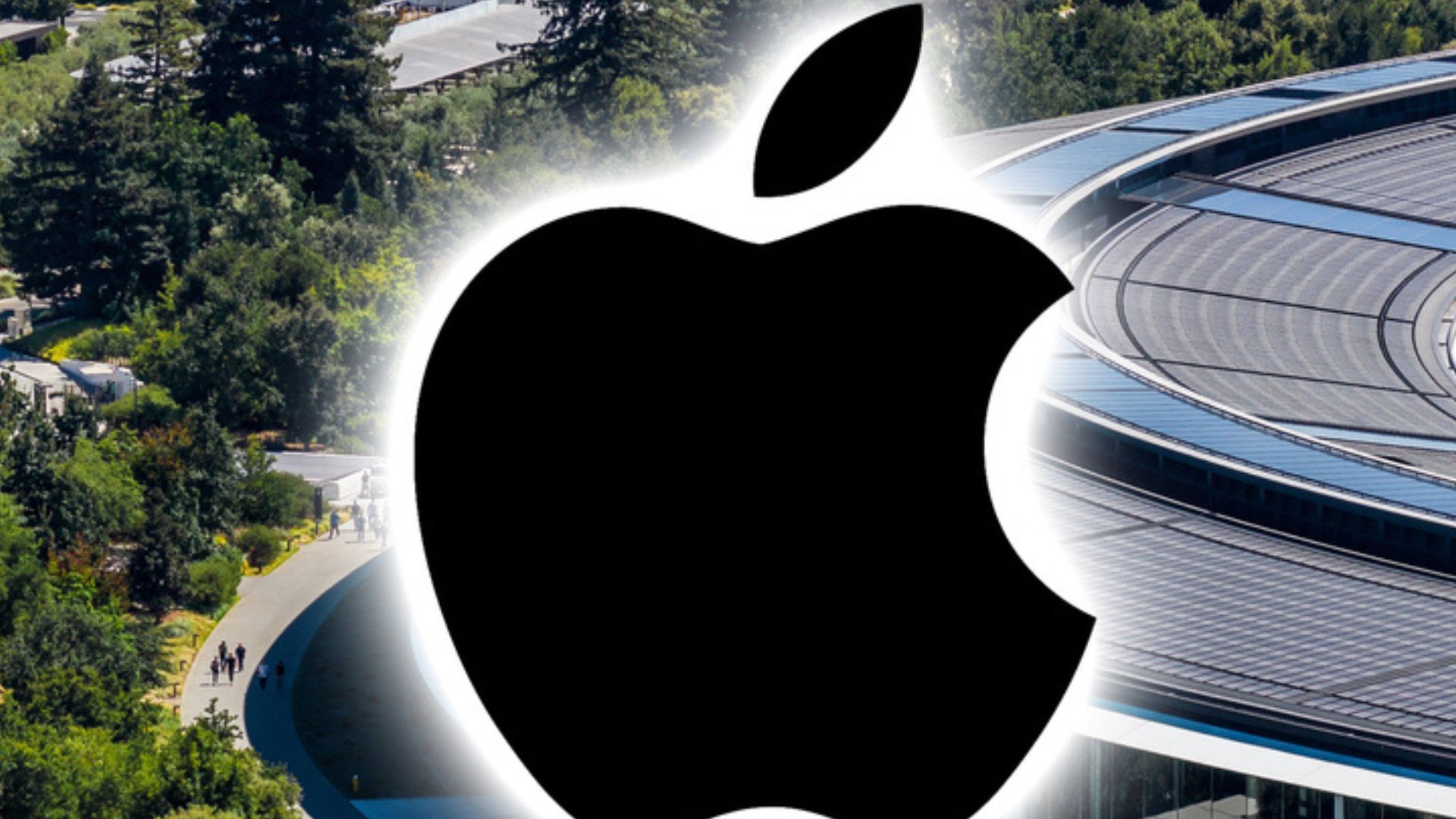 Apple Apple