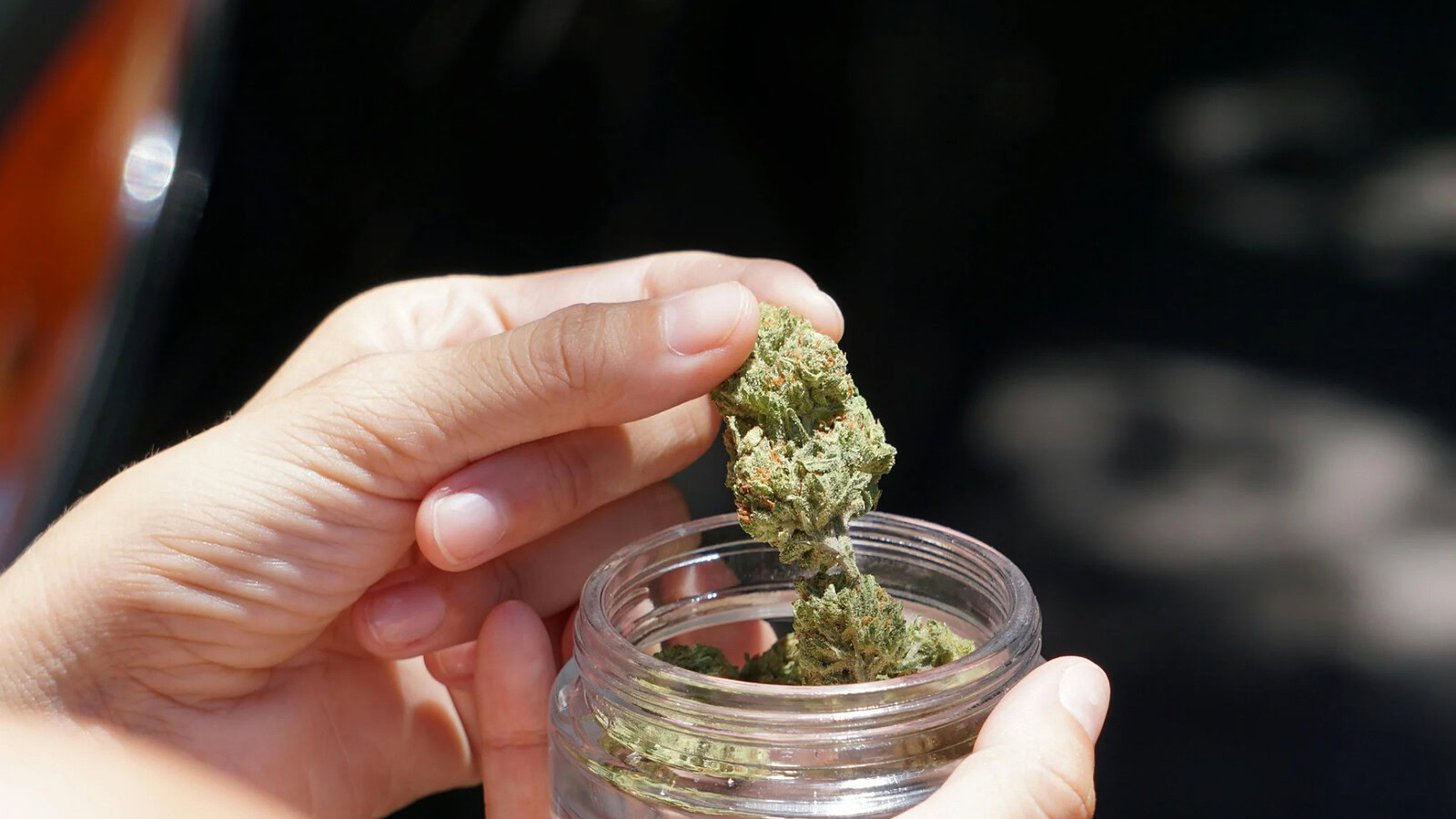 Cannabis negli adolescenti