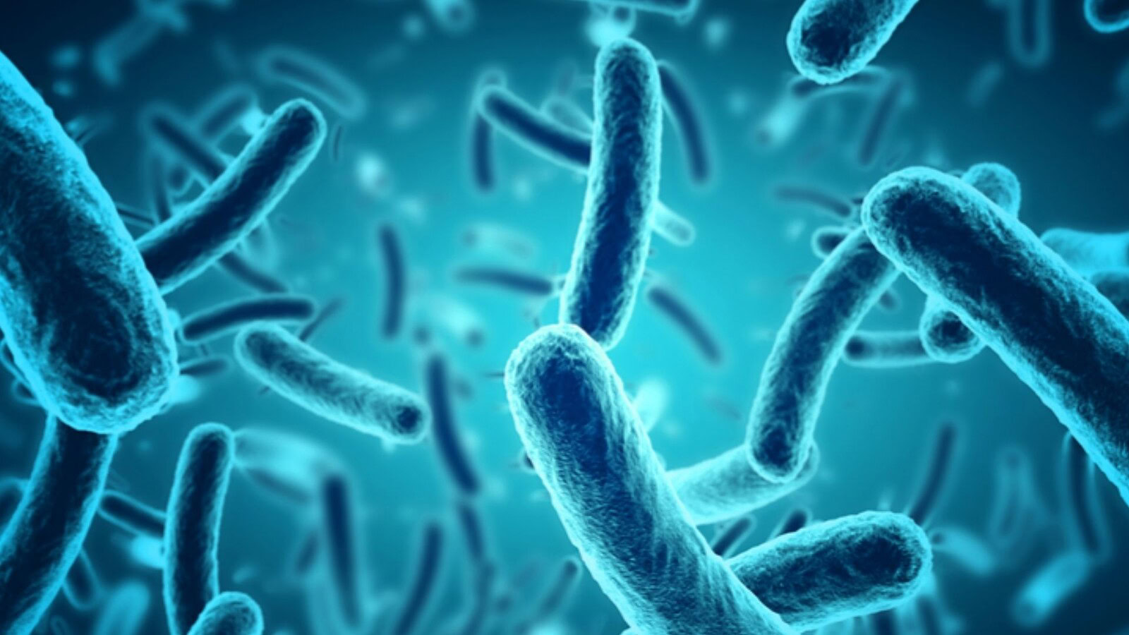 Microbi marini producono un esplosivo naturale simile al TNT