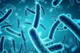 Microbi marini producono un esplosivo naturale simile al TNT