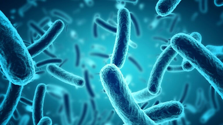 Microbi marini producono un esplosivo naturale simile al TNT