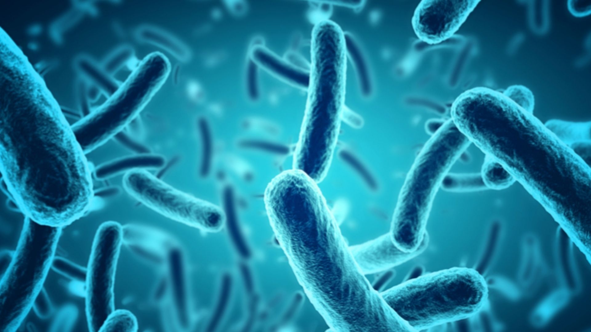 Microbi marini producono un esplosivo naturale simile al TNT Microbi marini producono un esplosivo naturale simile al TNT