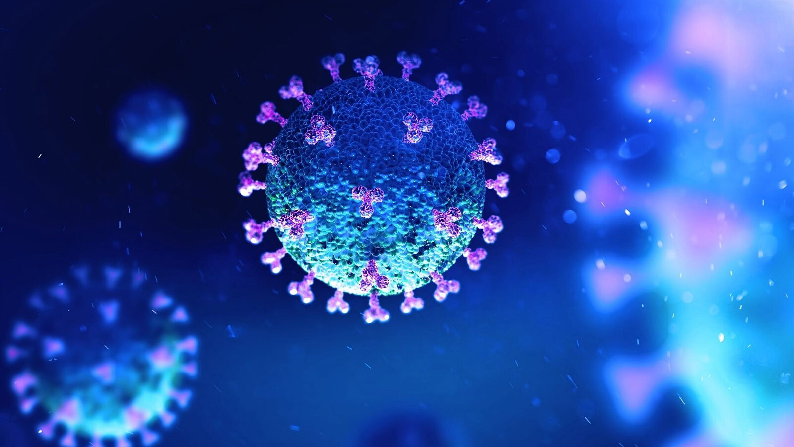 COVID risveglia i virus dormienti nel corpo: cosa dice lo studio