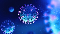 COVID risveglia i virus dormienti nel corpo: cosa dice lo studio