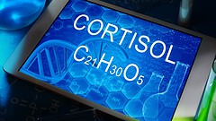 Cortisolo, l’ormone dello stress manda in tilt il senso dell’orientamento