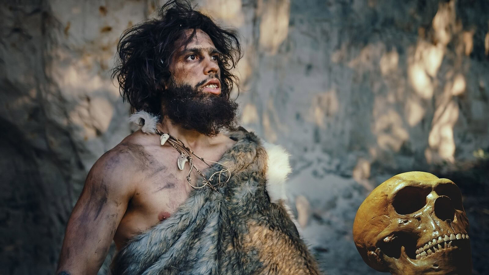 Neanderthal cannibali: ossa di 55.000 anni svelano la verità