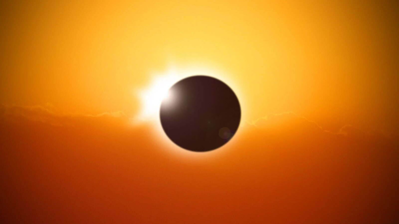 Eclissi solari, l'animale più strano davanti al fenomeno siamo noi