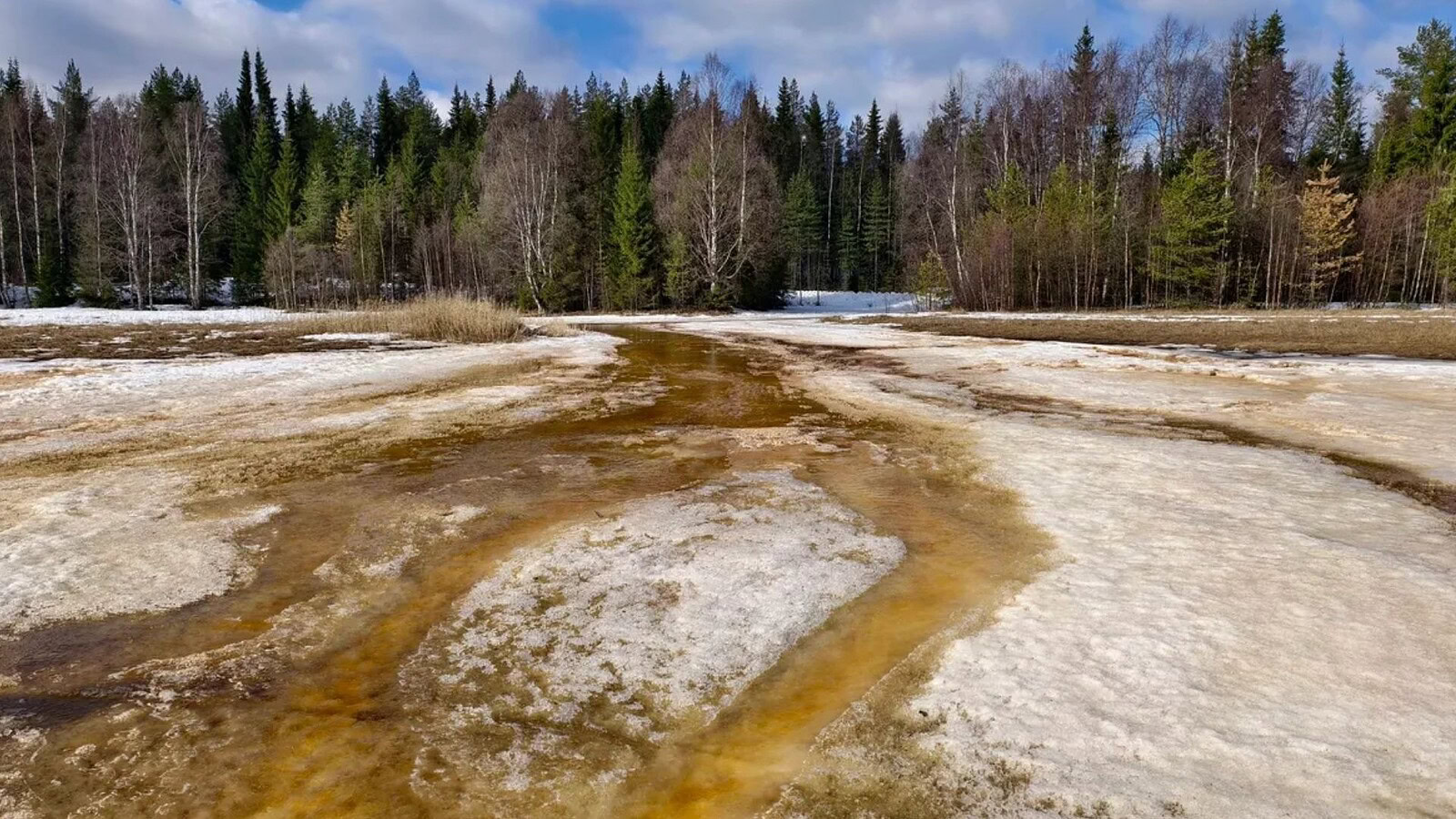 Artico, 35°C in Siberia: luglio tra i più caldi dal 1950