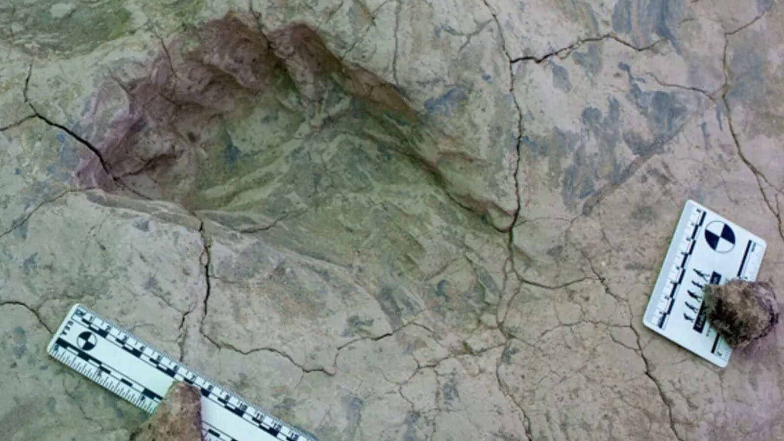 Paranthropus boisei, impronte di 1,4 milioni di anni in Kenya