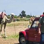 Citroën Dyane del 1982, 5.800 km dal Friuli al Marocco