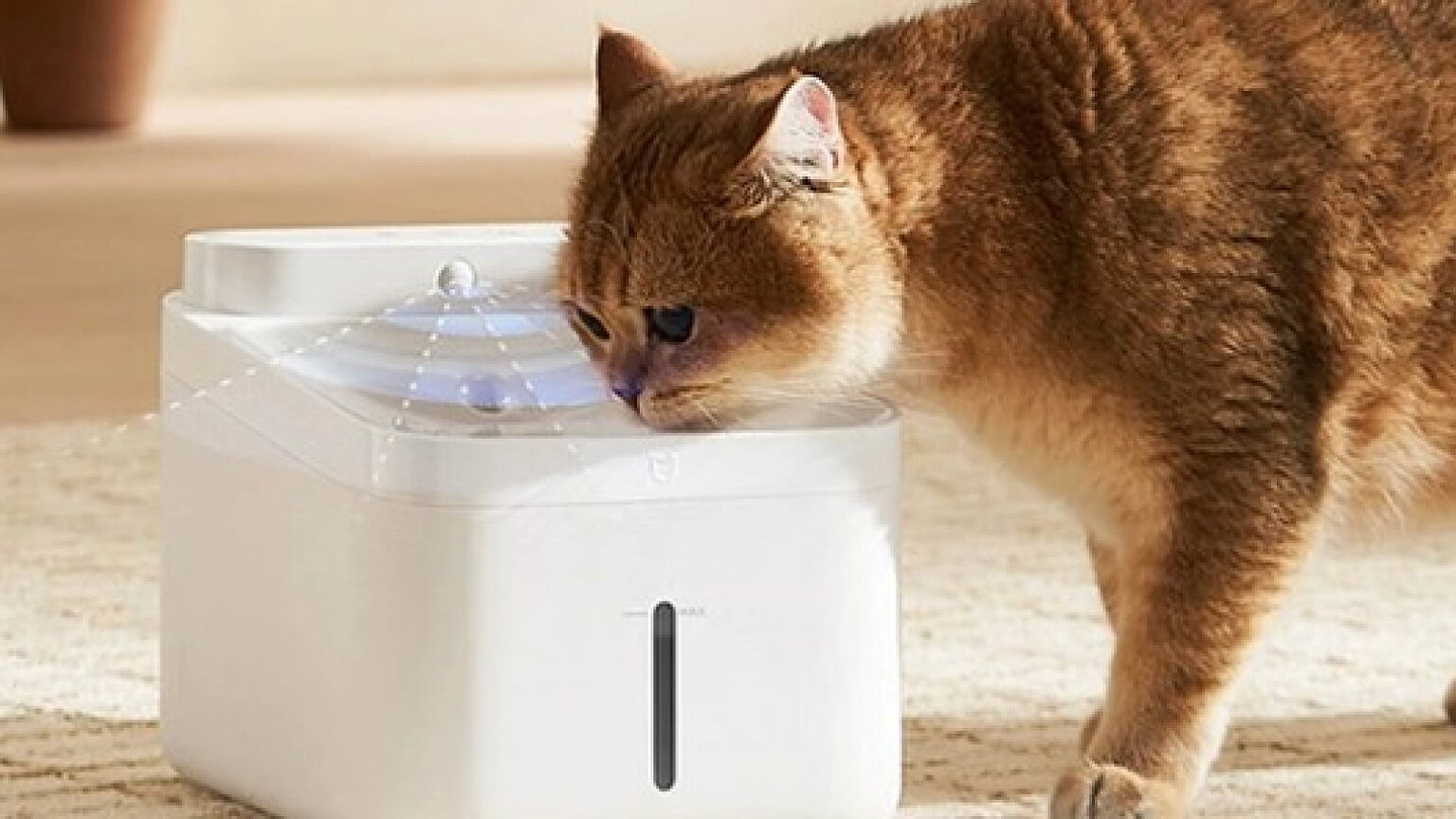 Xiaomi lancia la fontanella smart per cani e gatti con luce UVC - Mijia Smart Pet Water