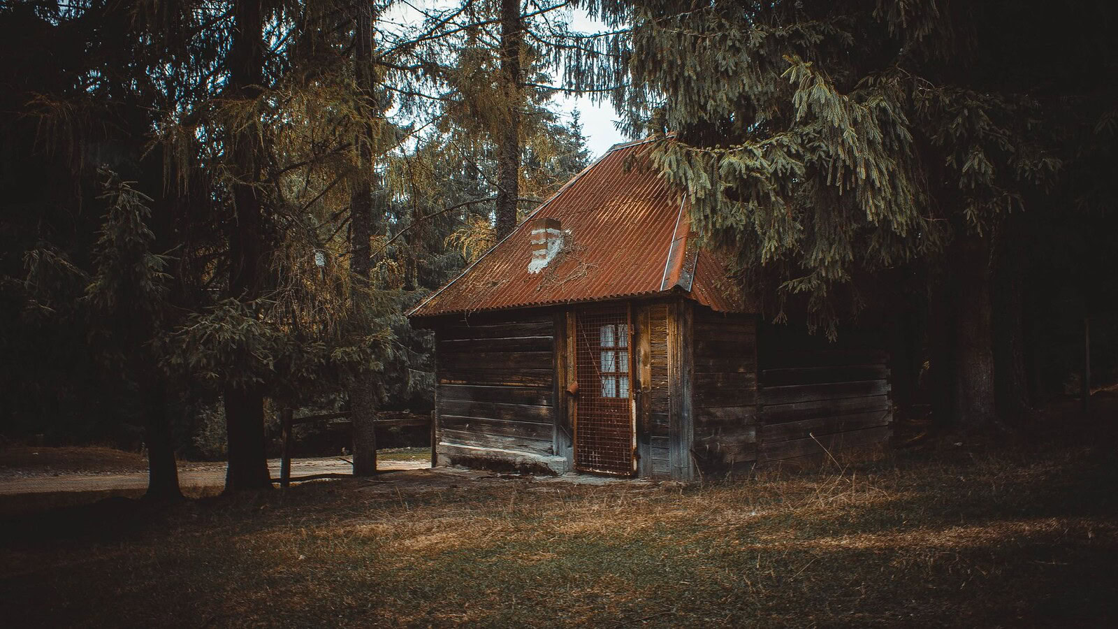 Casa off grid solare: la storia rumena che conquista TikTok