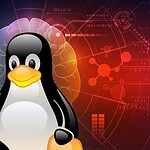 Linux 7.3 rc3: valanga di correzioni su XFS e client SMB