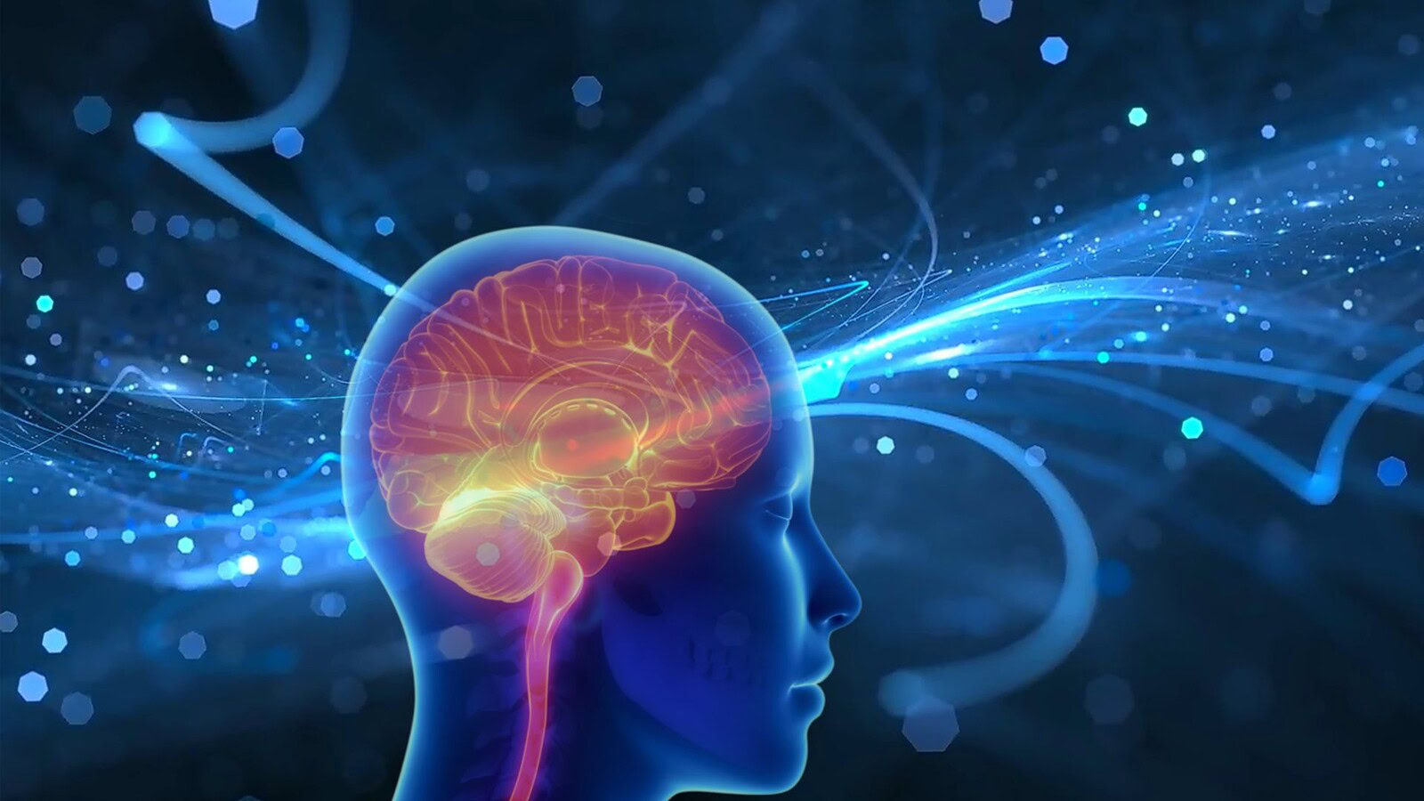 Dolore cronico, scoperto nel cervello l'interruttore che lo frena