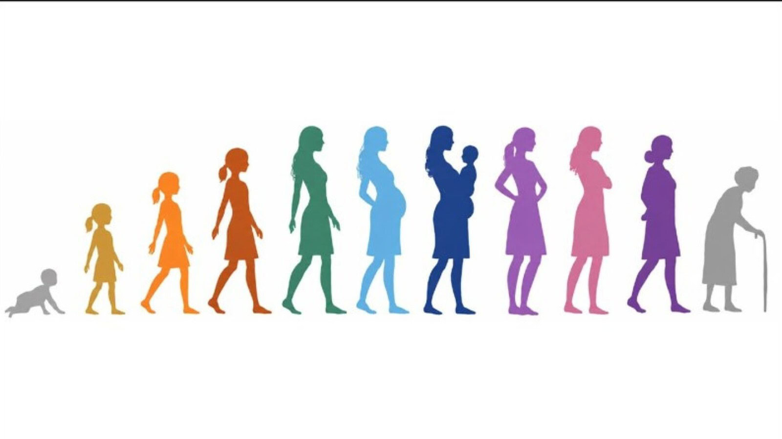 Menopausa e cervello