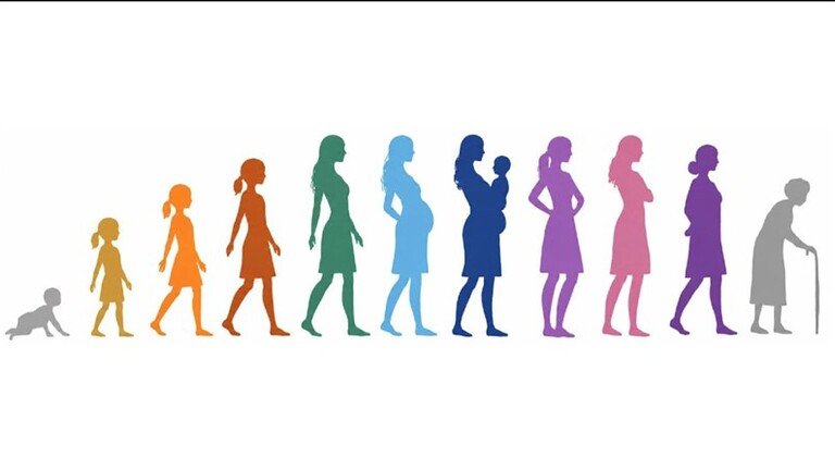 Menopausa e cervello