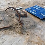 Tomba anti vampiro in Polonia
