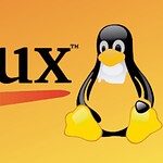 DAWO, la distro Linux olandese su NixOS per la PA è già in test