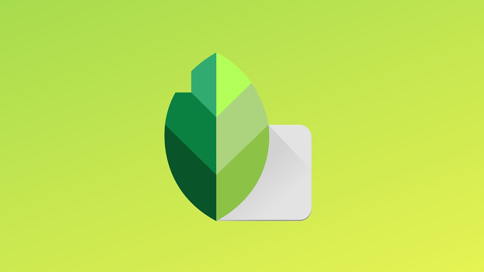 Snapseed beta: LUT personalizzate e Motion Blur su Android