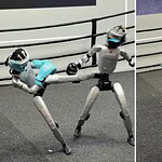Robot umanoidi