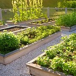 Orti urbani, fino a 3°C in meno nelle città: lo studio UE