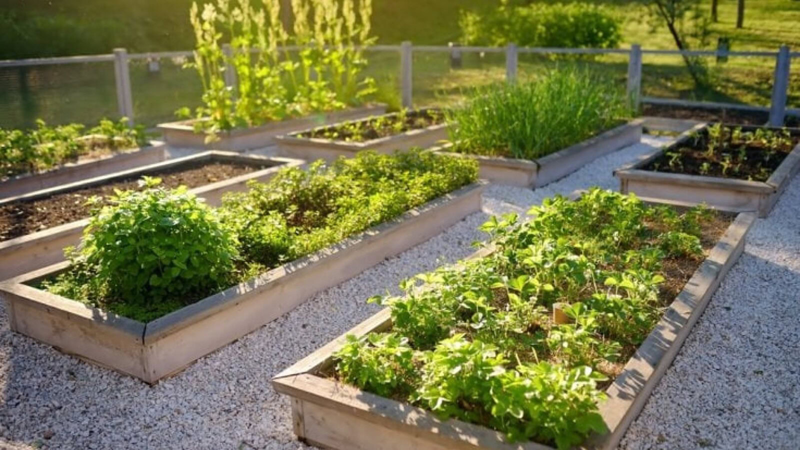 Orti urbani, fino a 3°C in meno nelle città: lo studio UE