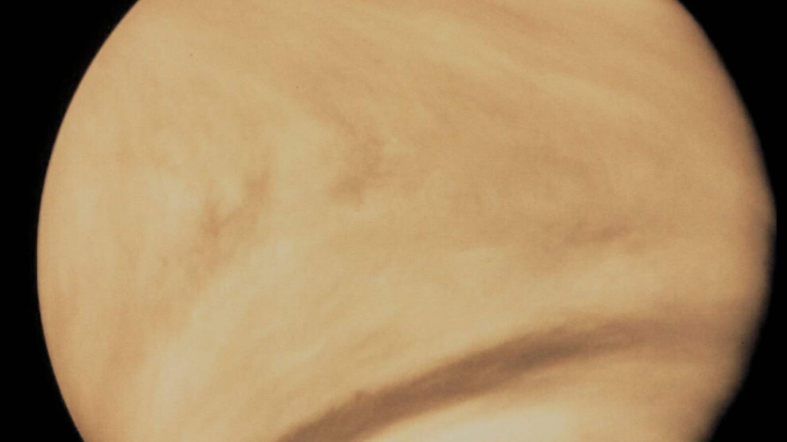 Venere