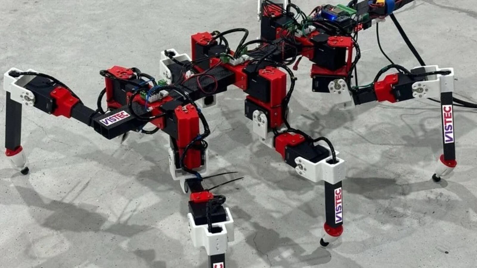 Robot esapode impara a camminare come un insetto stecco