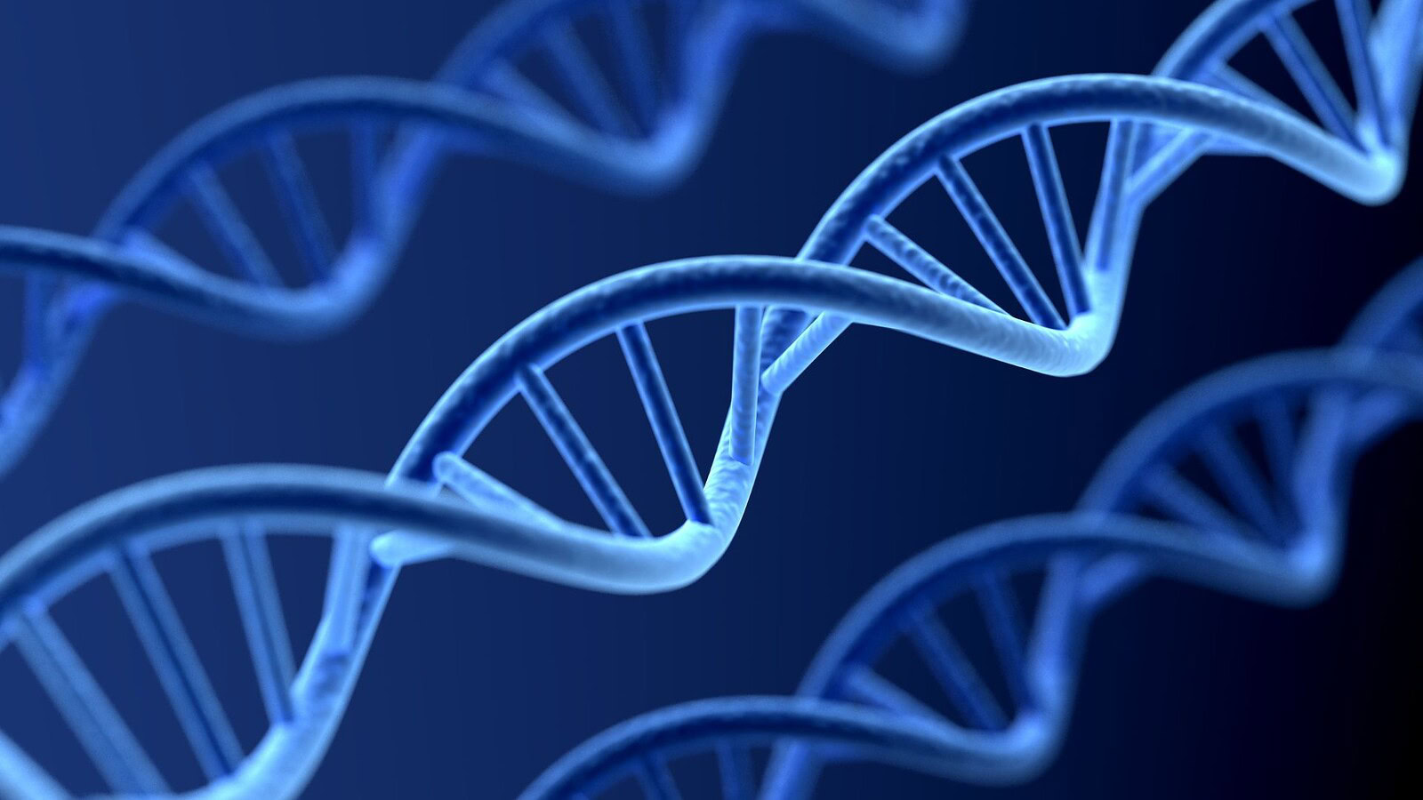 Peste nera: il DNA antico svela 400 anni di ritorni in Europa