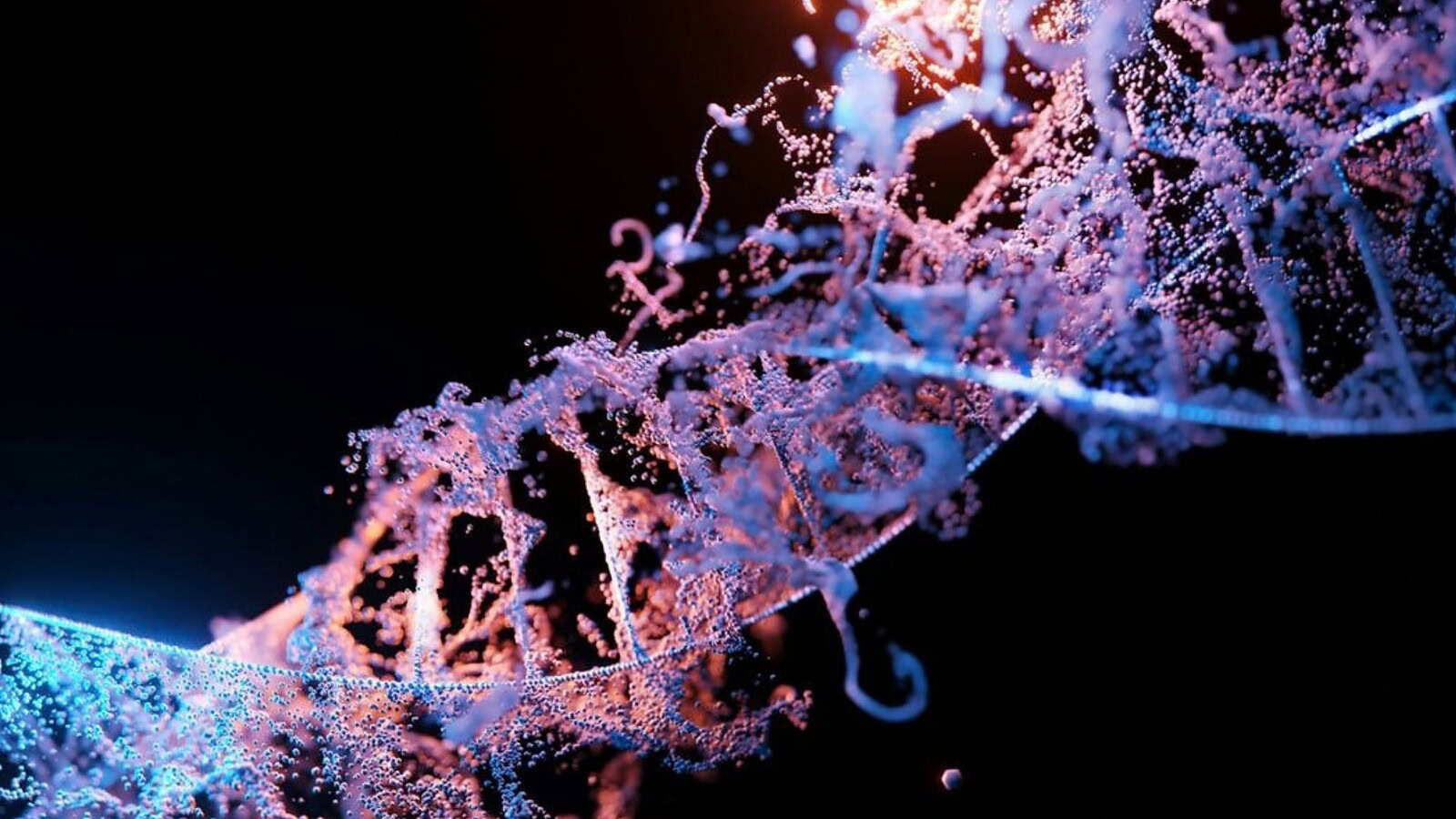 Anthropic, l'IA