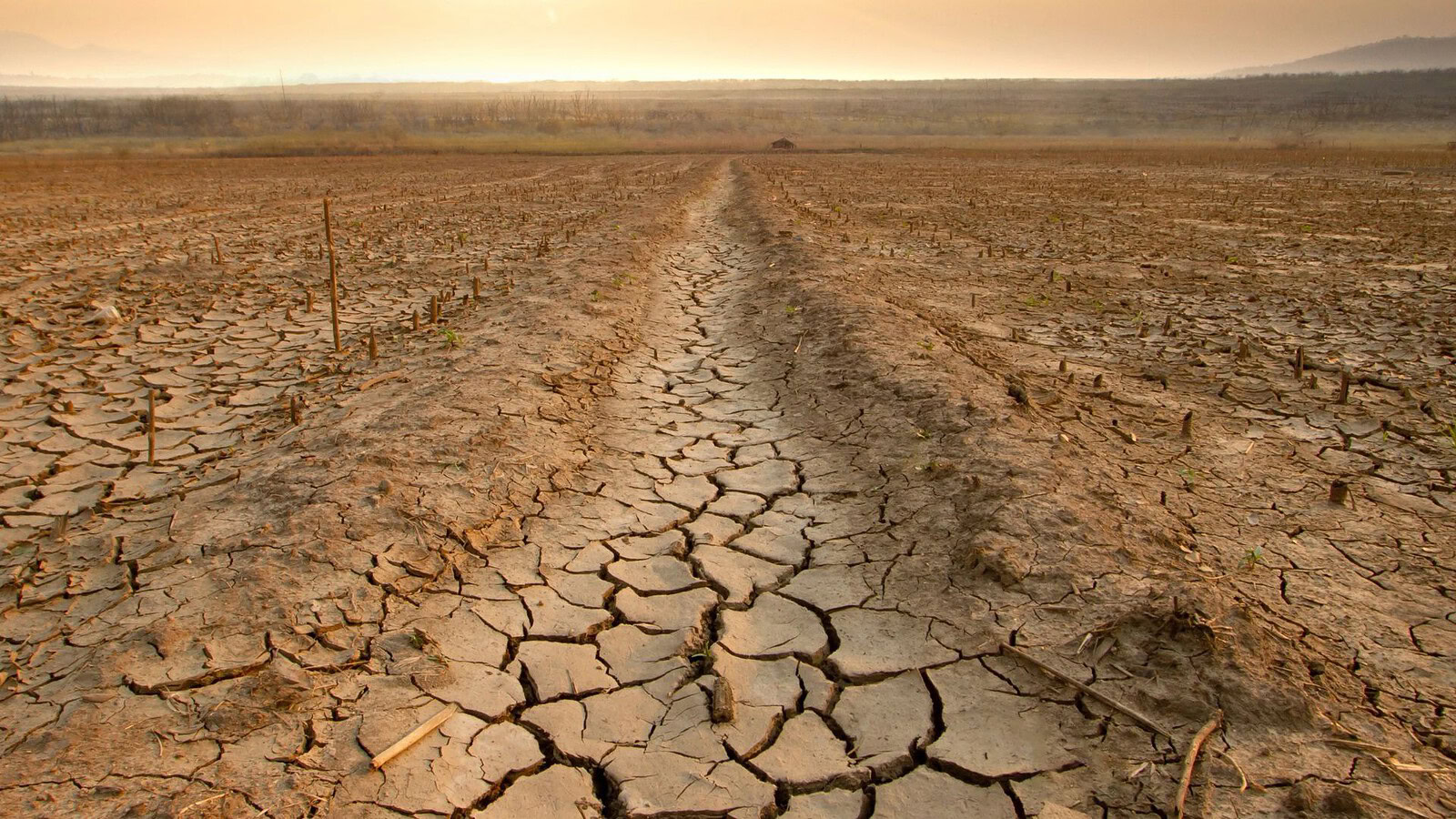 El Niño fino a febbraio 2027: probabilità vicina al 100%