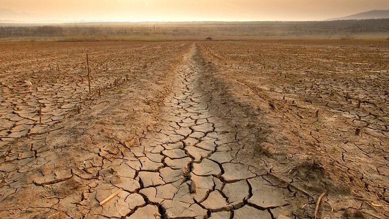 El Niño fino a febbraio 2027: probabilità vicina al 100%