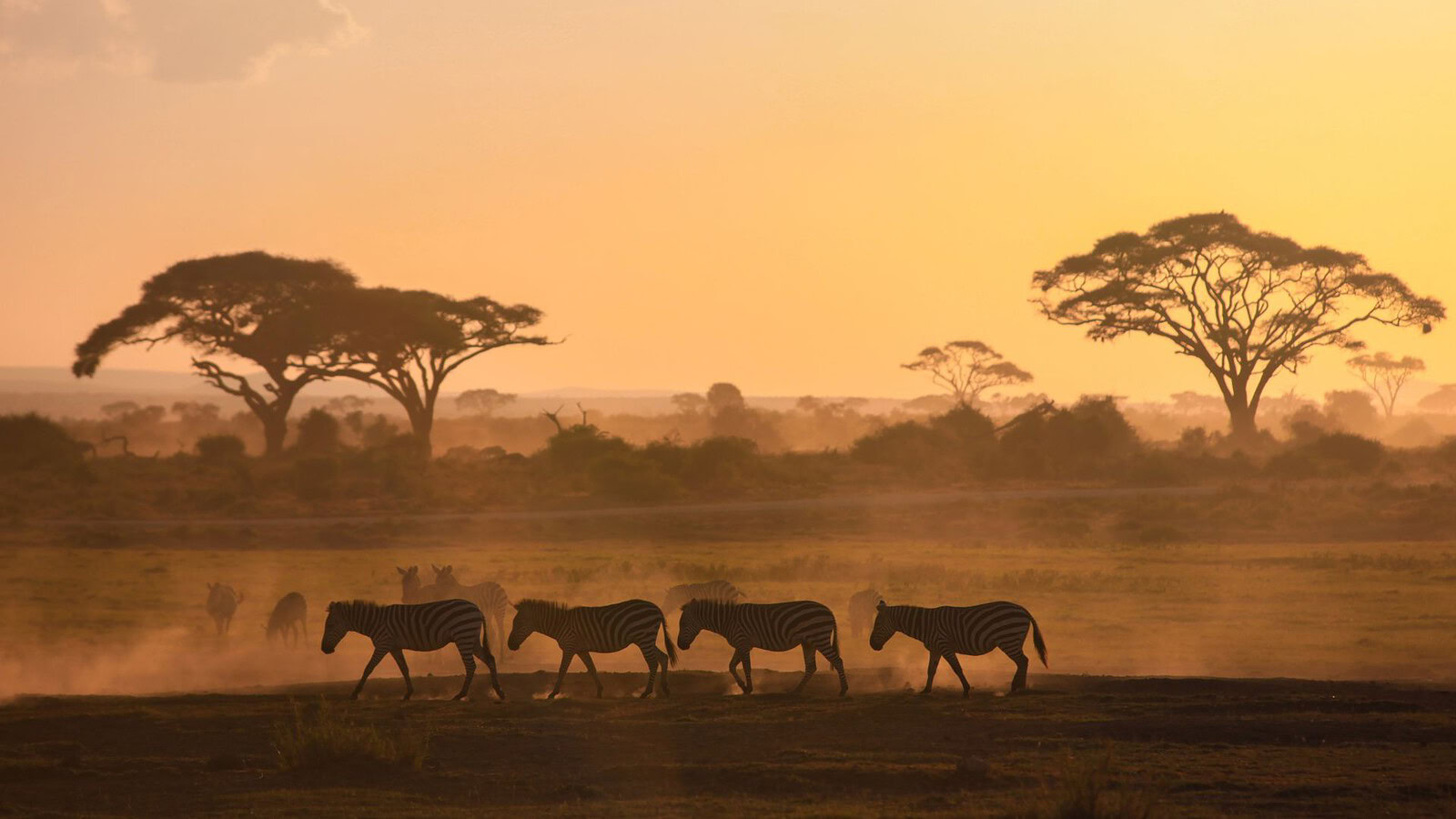 Africa, la mappa dei fiumi che può salvarci dalla crisi climatica