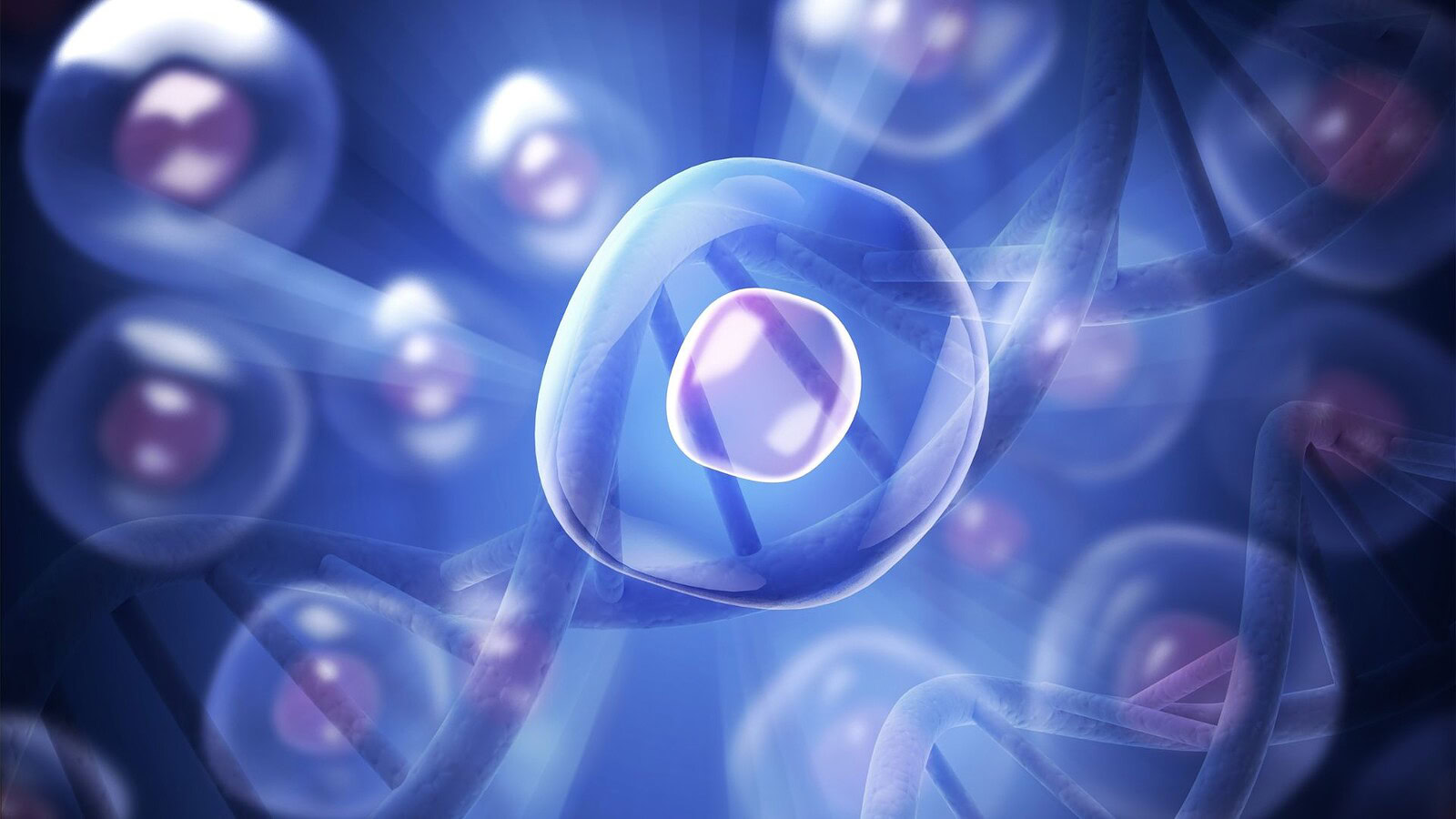 Cellule DARE: sopravvivono all'apoptosi e rigenerano i tessuti