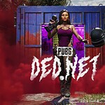 PUBG DED.NET