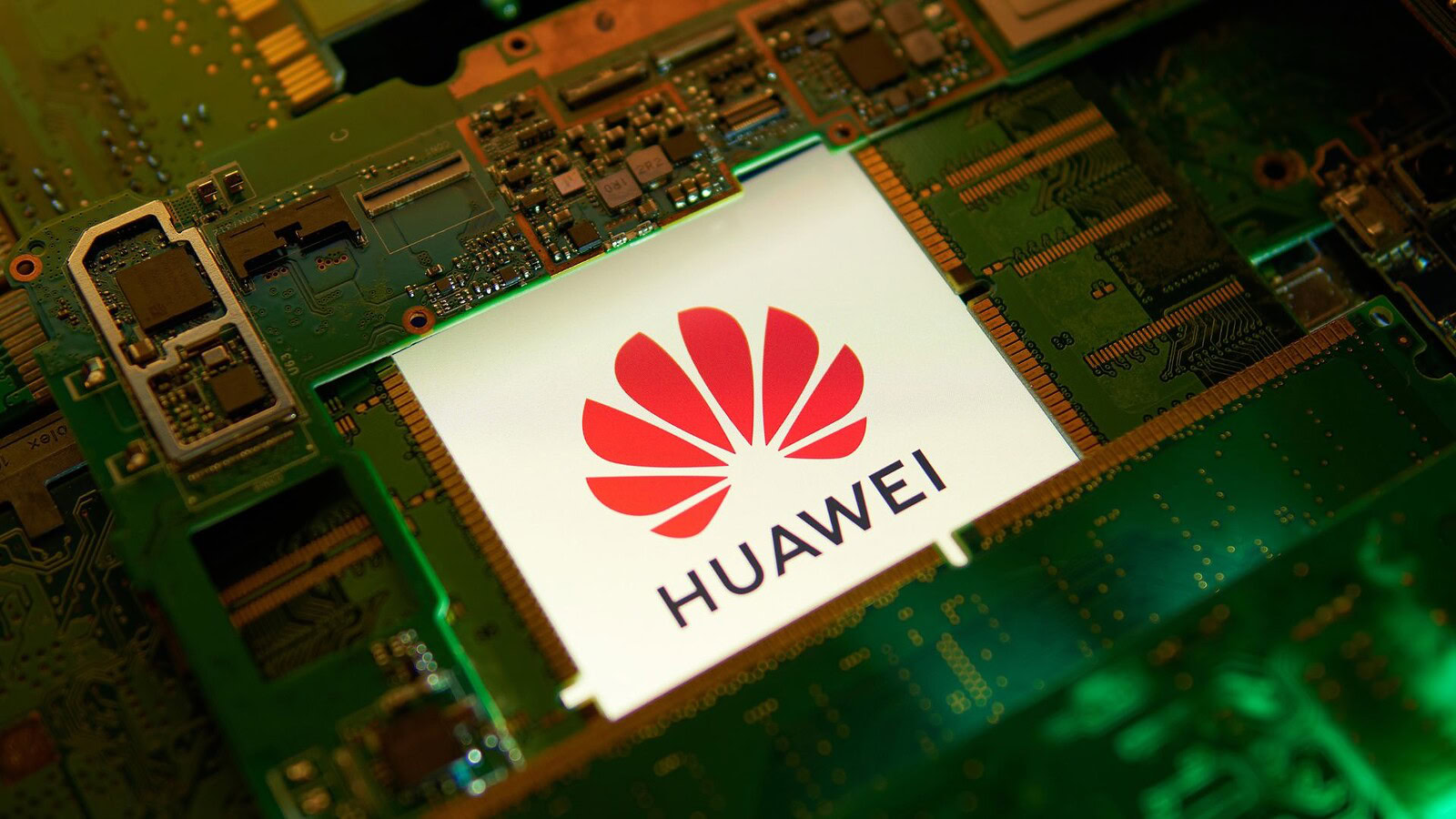 Huawei Health: cloni sul Play Store, come riconoscerli