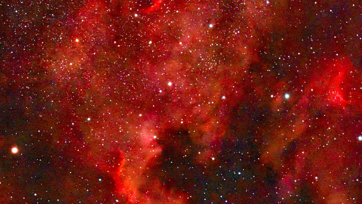 DWARF mini - immagine 20 DWARF mini - immagine 12