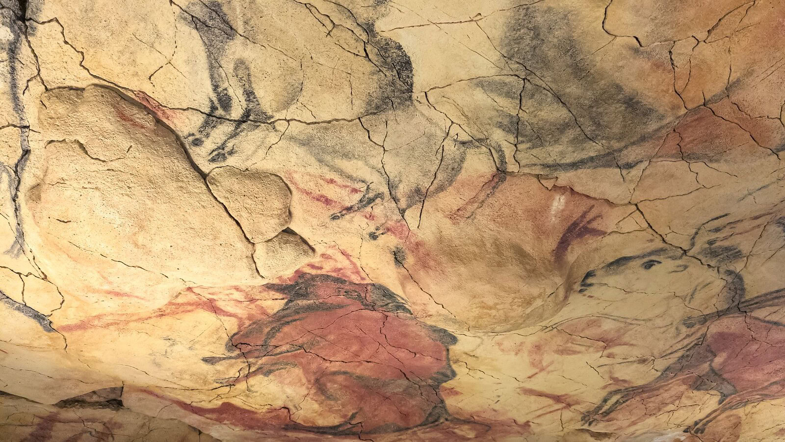 Neanderthal, una grotta frequentata fino a 46.000 anni fa